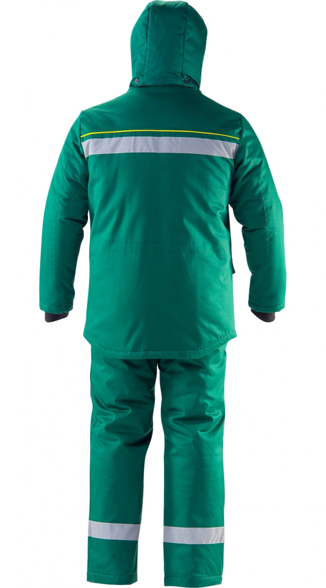 ALTAI Suit #2