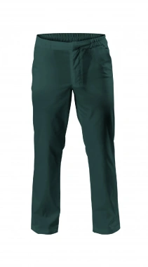 Trousers CLARK green #1