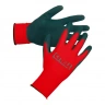 Special Avangard Gloves